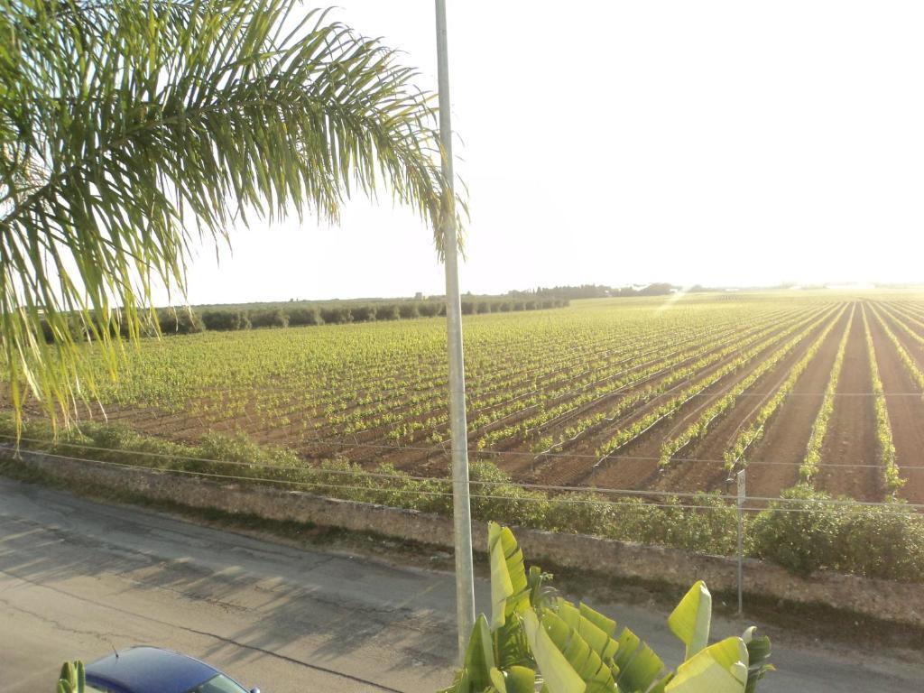 Eco Green La Vigna Leverano Quarto foto